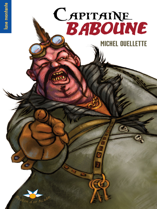 Cover image for Capitaine Baboune